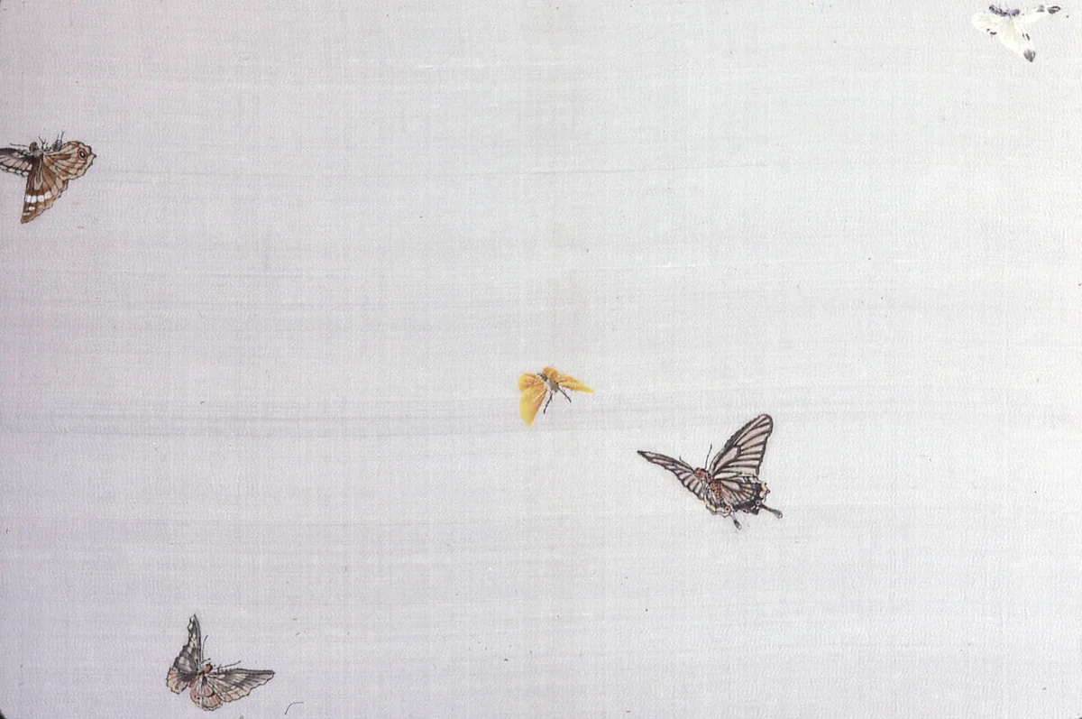 Panel (Intended for a Kimono) by Japan, textile, 1801-1900