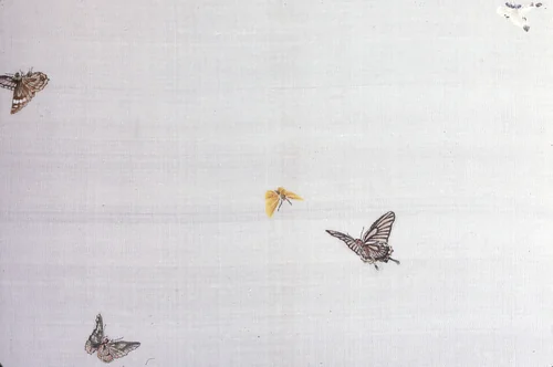 Panel (Intended for a Kimono) by Japan, textile, 1801-1900