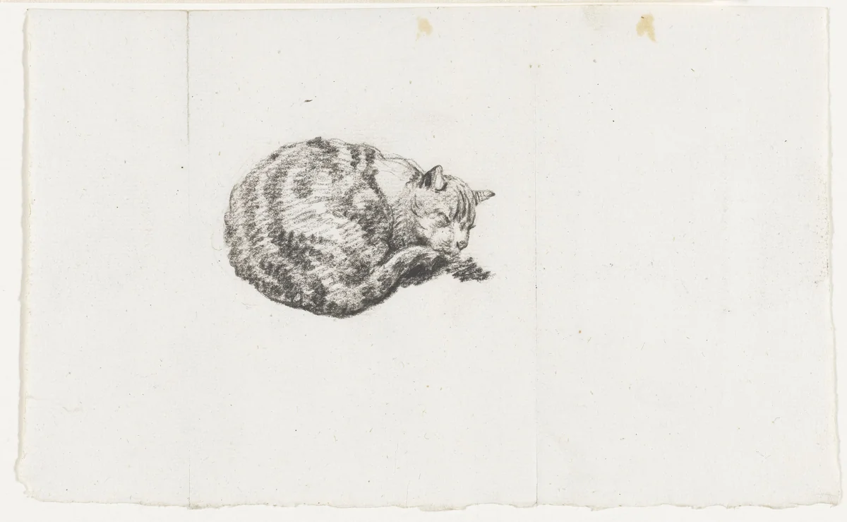 Liggende, slapende kat by Pieter Bartholomeusz. Barbiers, drawing, 1782-1837