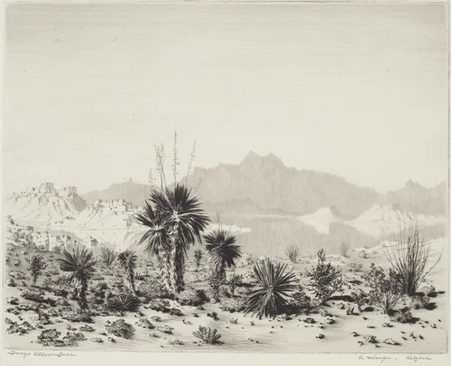 A Mirage, Arizona by George Elbert Burr, print, 1924-1934