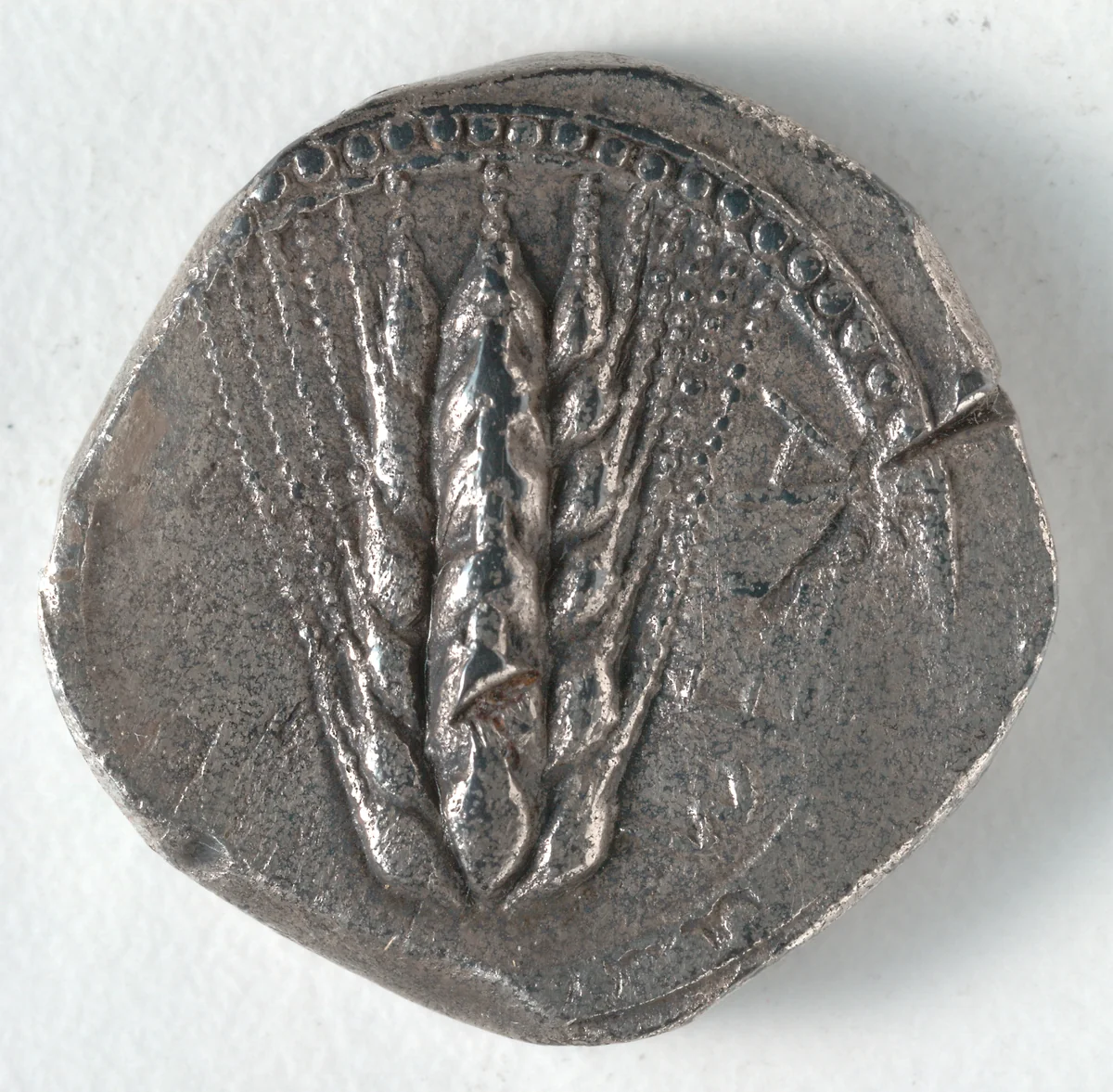 Stater: Barley (obverse) by Unknown, metalwork, -535--505