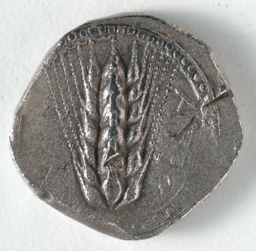 Stater: Barley (obverse) by Unknown, metalwork, -535--505