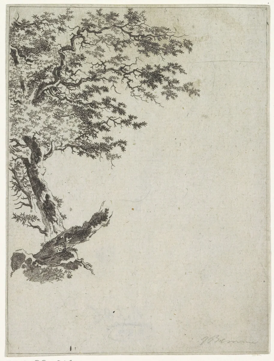 Boomstudie by Joannes Bemme, print, 1800-1841
