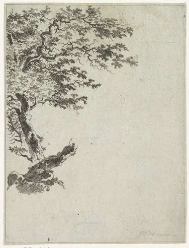 Boomstudie by Joannes Bemme, print, 1800-1841