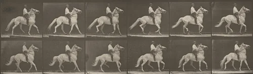 Plate Number 589. "Clinton" ambling, bareback by Eadweard Muybridge, photograph, 1887