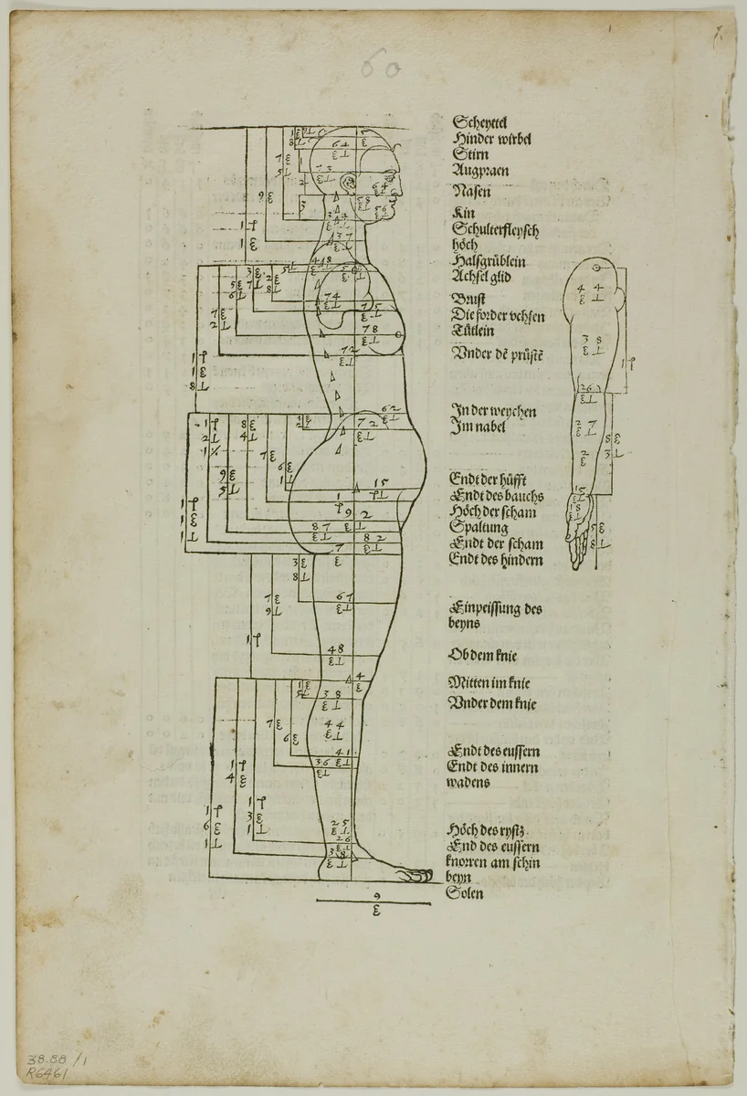 Illustration to Vier Bücher von der Menschlichen Proportion, plate one from Woodcuts from Books of the XVI Century by Albrecht Dürer, print, 1528