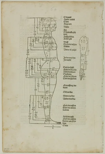Illustration to Vier Bücher von der Menschlichen Proportion, plate one from Woodcuts from Books of the XVI Century by Albrecht Dürer, print, 1528