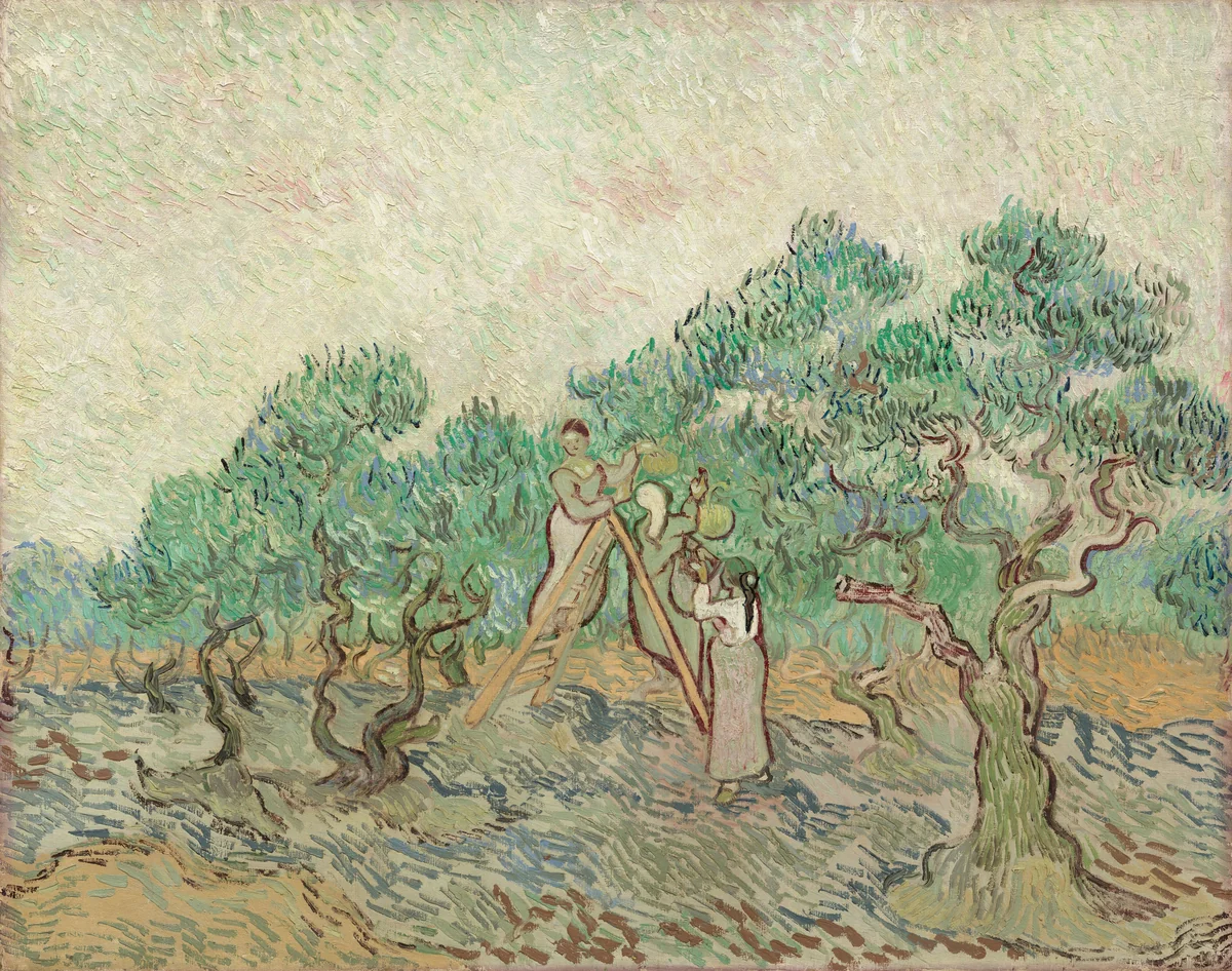 The Olive Orchard by Vincent van Gogh, painting, 1889