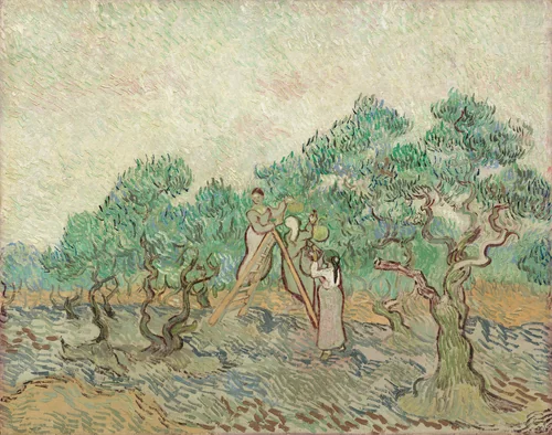 The Olive Orchard by Vincent van Gogh, painting, 1889
