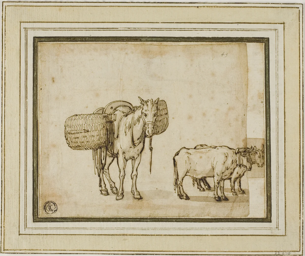 Two Sketches: Mule Carrying Baskets, Pair of Yoked Oxen by Cornelis de Wael
Remigio Cantagallina, drawing, 1600-1667