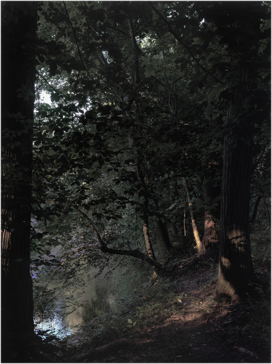 The Last Days of Fontainebleau, #12 by John Gossage, photograph, 2017