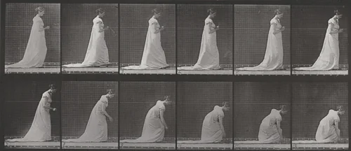 Plate Number 208. Dropping a fan and stooping to lift it by Eadweard Muybridge, photograph, 1887