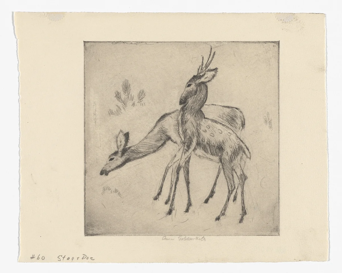 Stag and Doe (No. 2) by Anne Goldthwaite, print, 1928