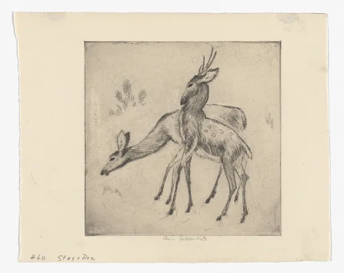 Stag and Doe (No. 2) by Anne Goldthwaite, print, 1928