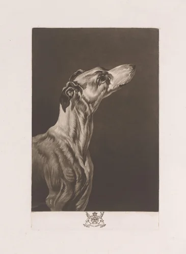 Hondenkop by Richard Earlom, print, 1752-1822