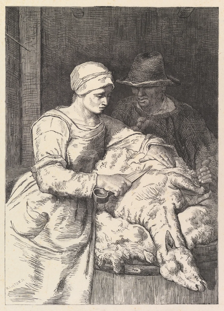 The Sheepshearer by Henry Linton, print, 1830-1899