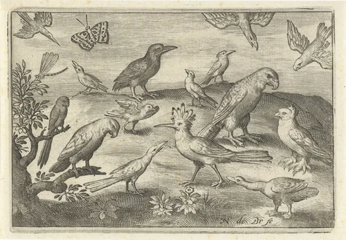 Hop en andere vogels by Unknown, print, 1594