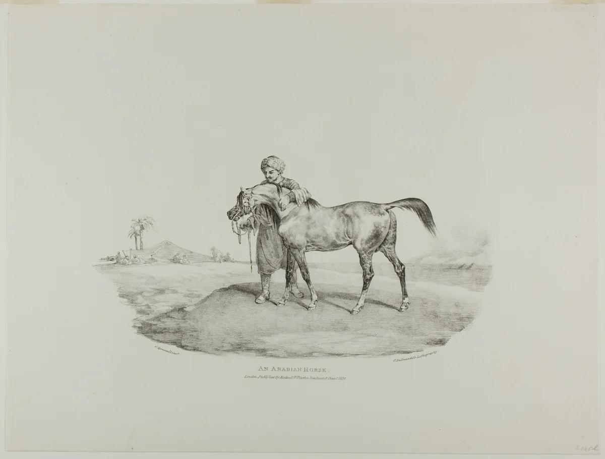 An Arabian Horse, plate 8 from Various Subjects Drawn from Life and on Stone (The English Suite) by Jean Louis André Théodore Géricault, print, 1821