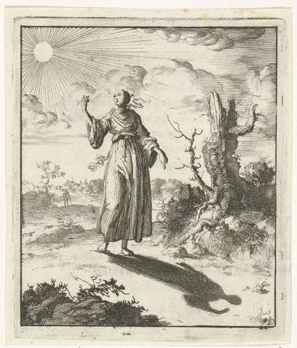 Vrouw aanschouwt haar eigen schaduw by Jan Luyken, print, 1687