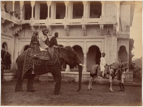 Ramkishore Singh of Rewa by Raja Deen Dayal, photograph, 1886