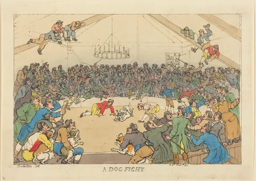 A Dog Fight by Thomas Rowlandson, print, 1811