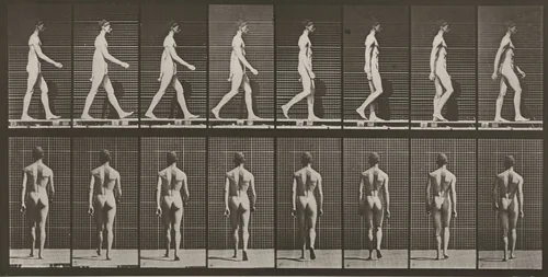 Plate Number 8. Walking by Eadweard Muybridge, photograph, 1887