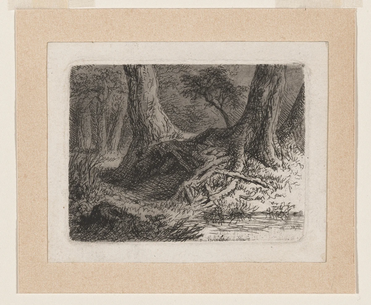 Trees with Tangled Roots by Anton Kölbl, print, 1774-1784