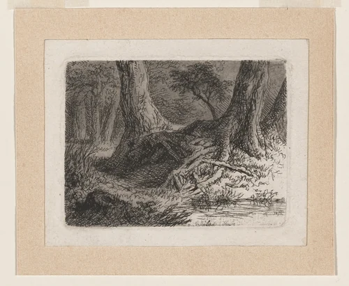 Trees with Tangled Roots by Anton Kölbl, print, 1774-1784