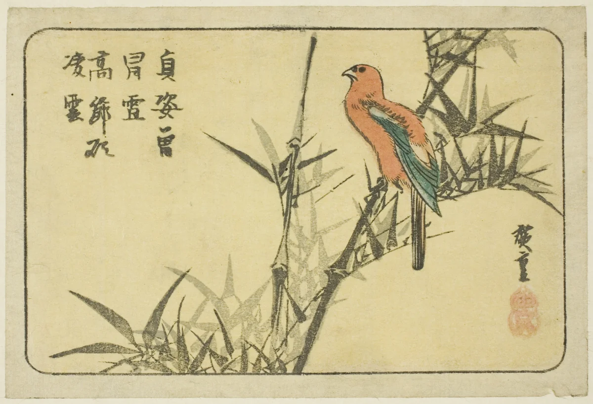 Macaw and bamboo by Utagawa Hiroshige (歌川広重), print