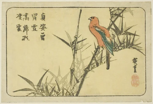 Macaw and bamboo by Utagawa Hiroshige (歌川広重), print