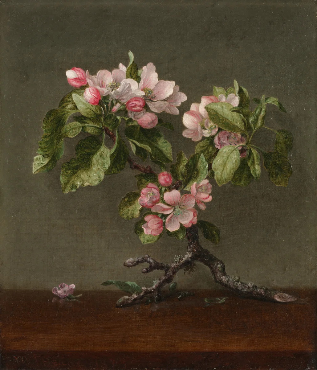 Apple Blossoms by Martin Johnson Heade, painting, 1873