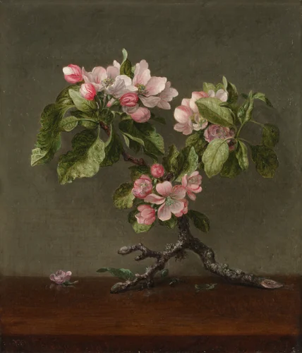 Apple Blossoms by Martin Johnson Heade, painting, 1873