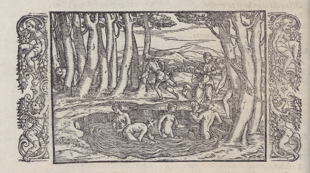 Le Trasformationi by Ovid, book, 1558