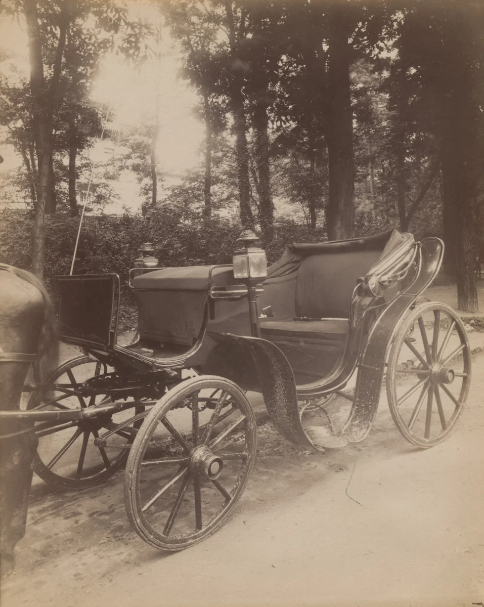 Victoria. Bois de Boulogne by Eugène Atget, photograph, 1908