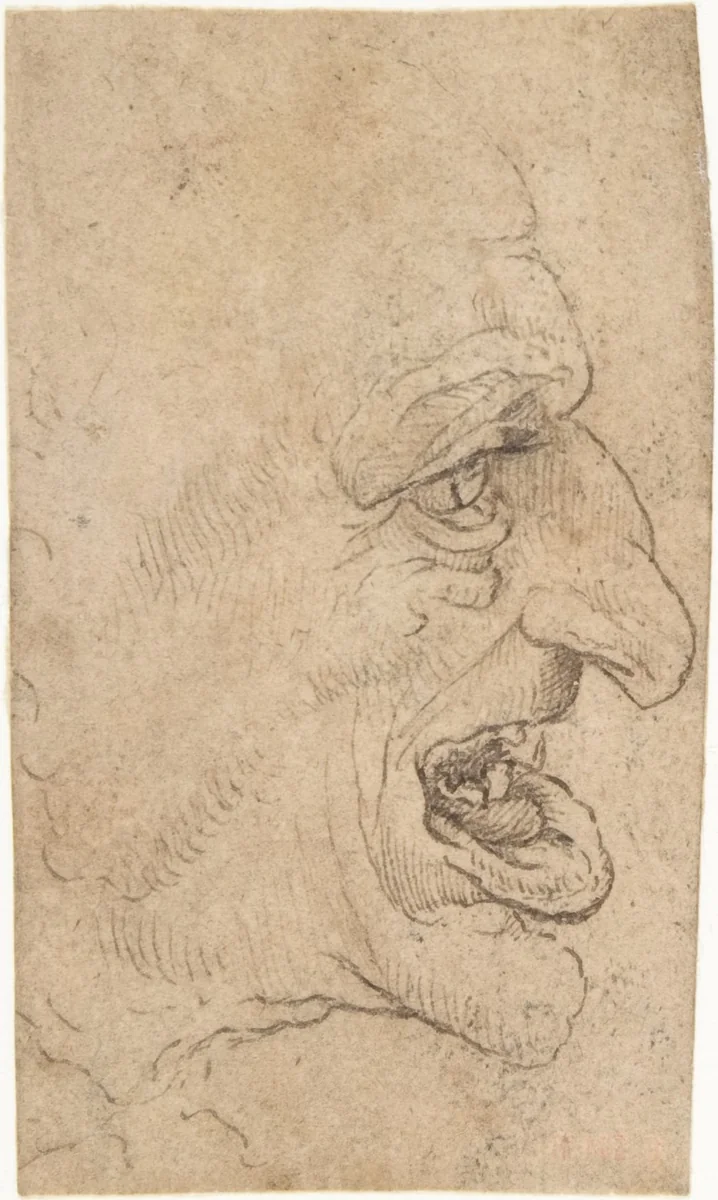 The Head of a Grotesque Man in Profile Facing Right by Leonardo da Vinci, drawing, 1500-1520