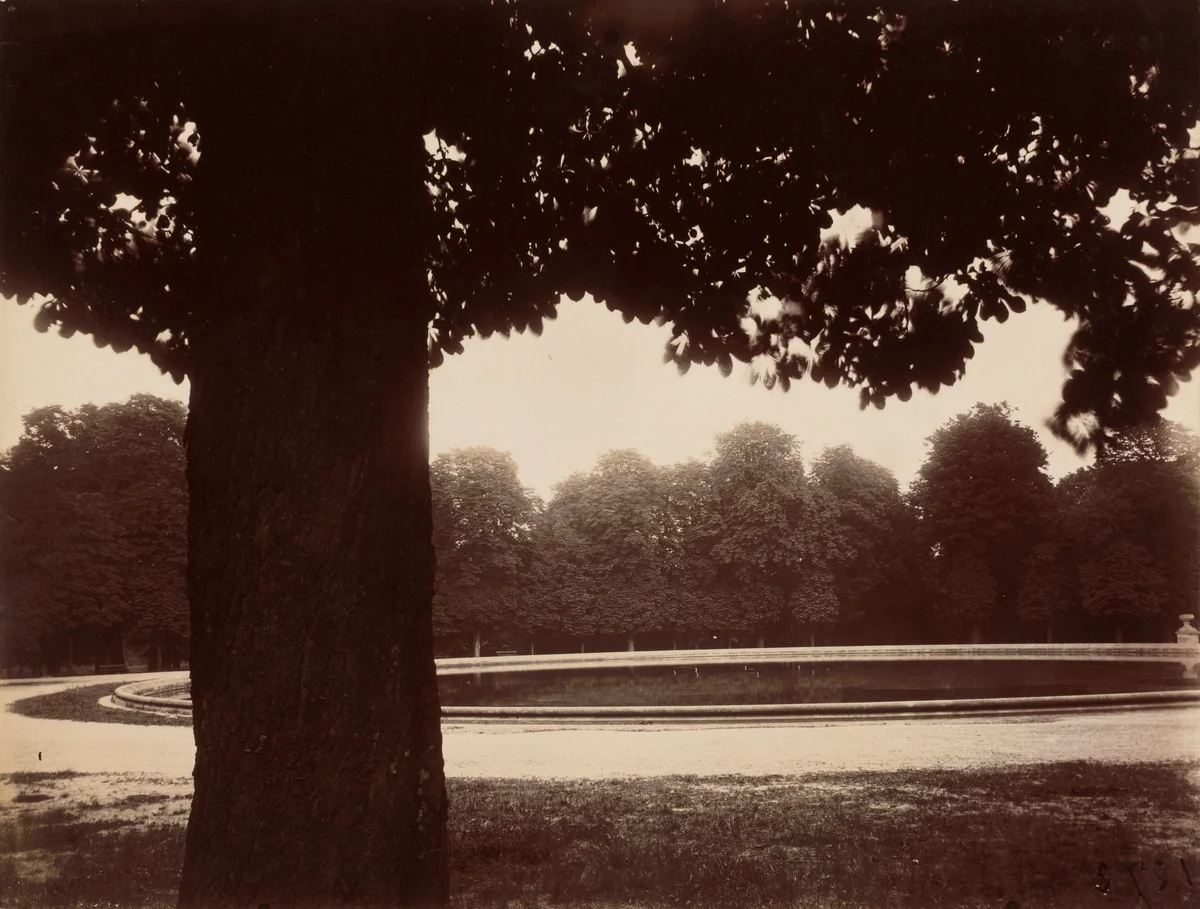 Saint-Cloud by Eugène Atget, photograph, 1926