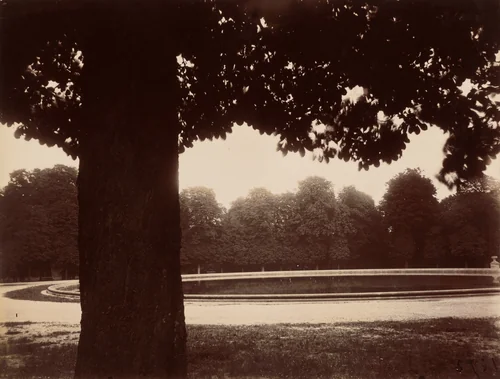 Saint-Cloud by Eugène Atget, photograph, 1926