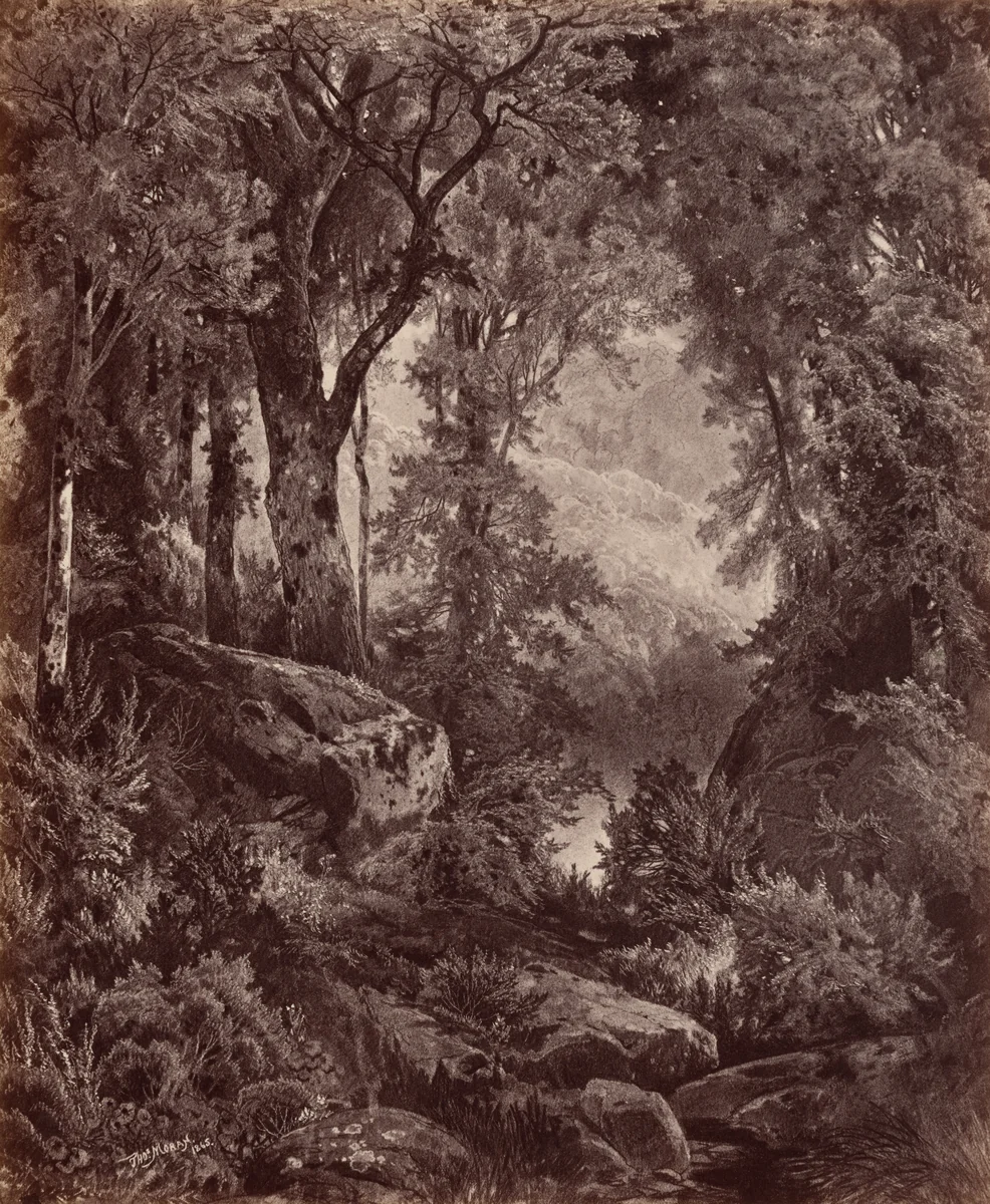 Solitude by John Moran, photograph, 1865
