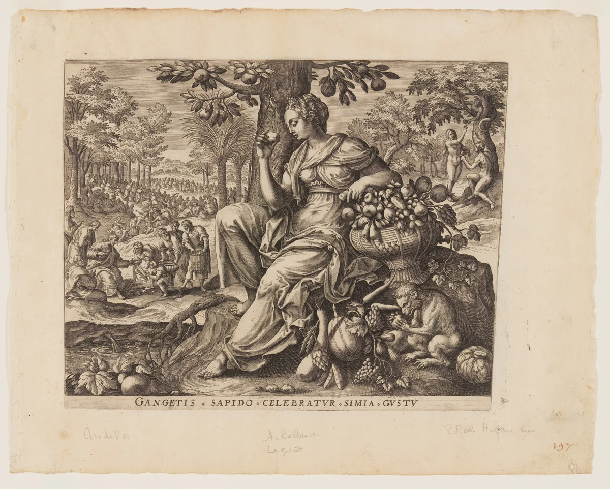 Taste, from The Five Senses by Adriaen Collaert, print, 1580-1590