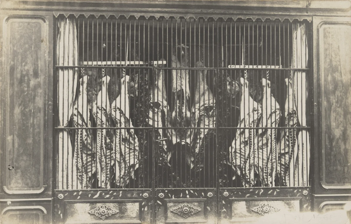 Boucherie Ange Godard, grands-parents de Fernand Godard, Rue Wagram, Dol-de-Bretagne by Unidentified Photographer, photograph, 1910