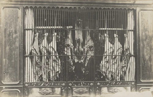 Boucherie Ange Godard, grands-parents de Fernand Godard, Rue Wagram, Dol-de-Bretagne by Unidentified Photographer, photograph, 1910