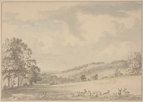 Deer Resting in Albury Park by Anthony Devis, drawing, 1780-1817