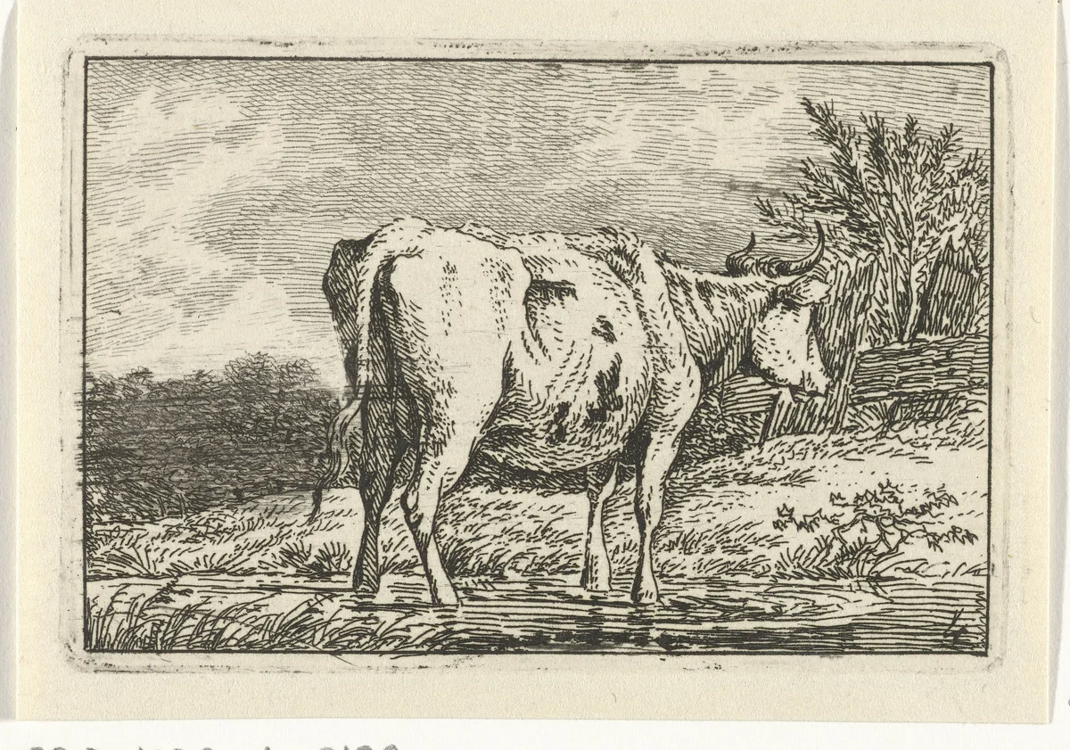 Koe staand in een plas by Anthony Oberman, print, 1796-1845