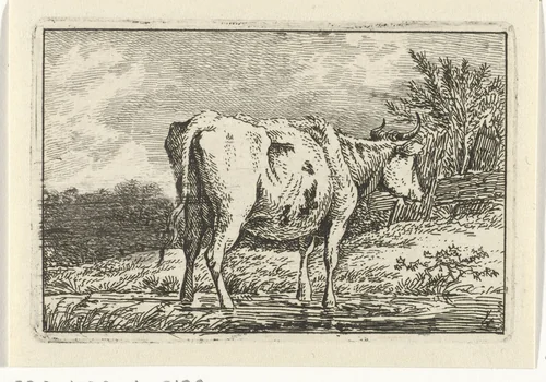 Koe staand in een plas by Anthony Oberman, print, 1796-1845