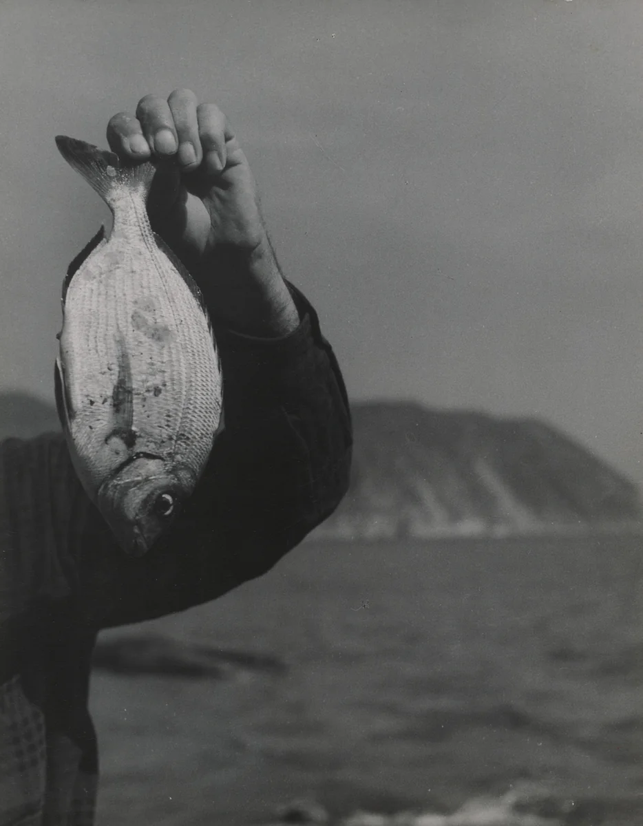White Fish and Arm by Emmy Andriesse, photograph, 1950