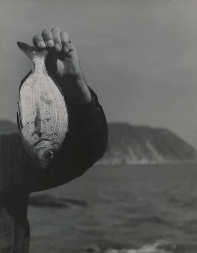 White Fish and Arm by Emmy Andriesse, photograph, 1950