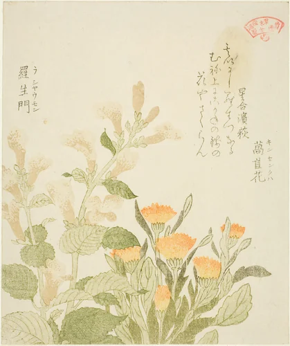 Marigold (Kinsenka) and Rashomon Flowers, from the series "Collection of Plants for the Kasumi Poetry Circle (Kasumi-ren somoku awase)" by Kubo Shunman (窪俊満), print, 1810-1819