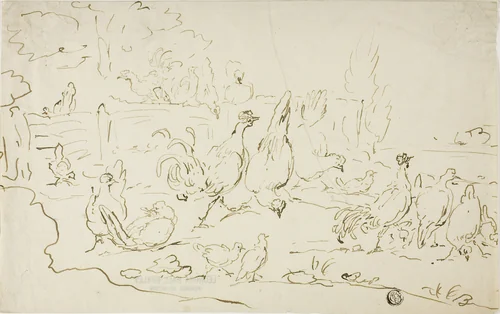 Chickens and Roosters in Yard by Gillis Claesz de Hondecoeter, drawing, 1600-1699