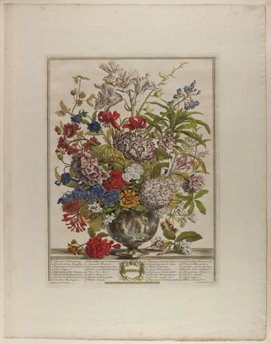 July, from Twelve Months of Flowers by Henry Fletcher
Peter Casteels III, print, 1730-1750