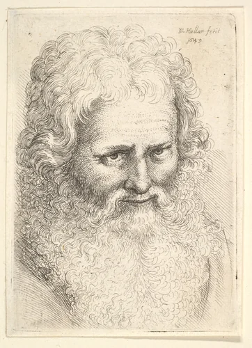 Head of an old man with a large beard by Wenceslaus Hollar, print, 1645